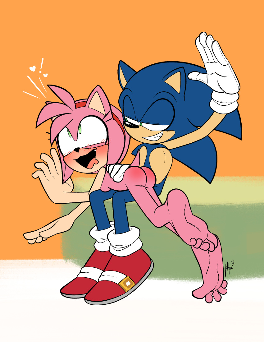 Amy Rose (Sega) Rule 34 Image