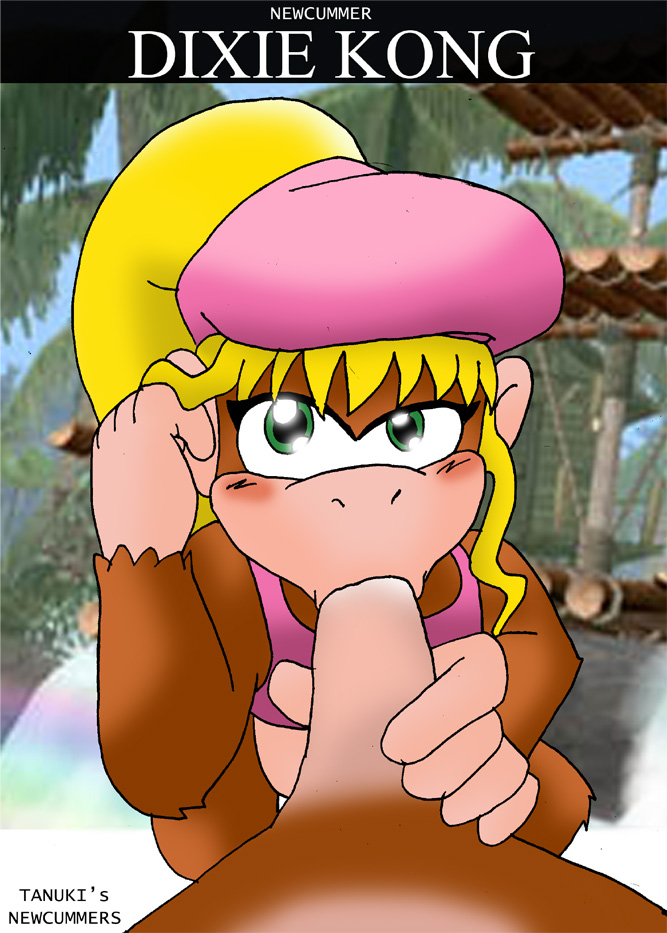 Dixie Kong (Donkey Kong (Series)) Rule 34 Image
