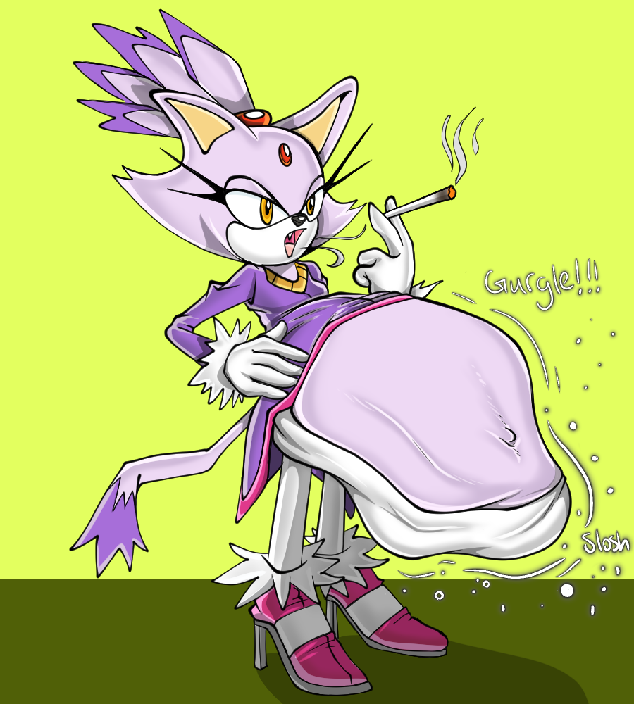 Blaze The Cat (Sega) Rule 34 Image
