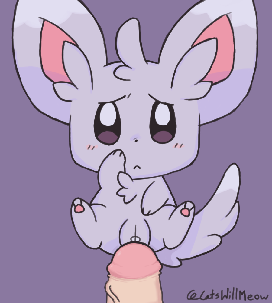 Minccino (Pokemon) Rule 34 Image
