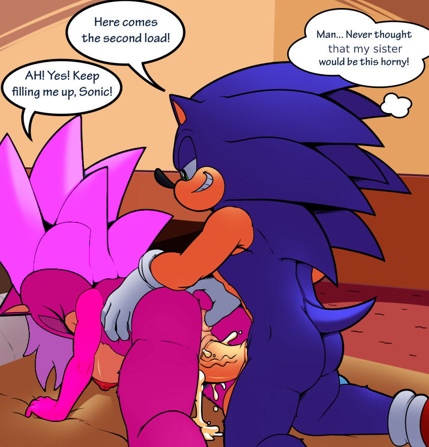Sonia The Hedgehog (Sega) Rule 34 Image