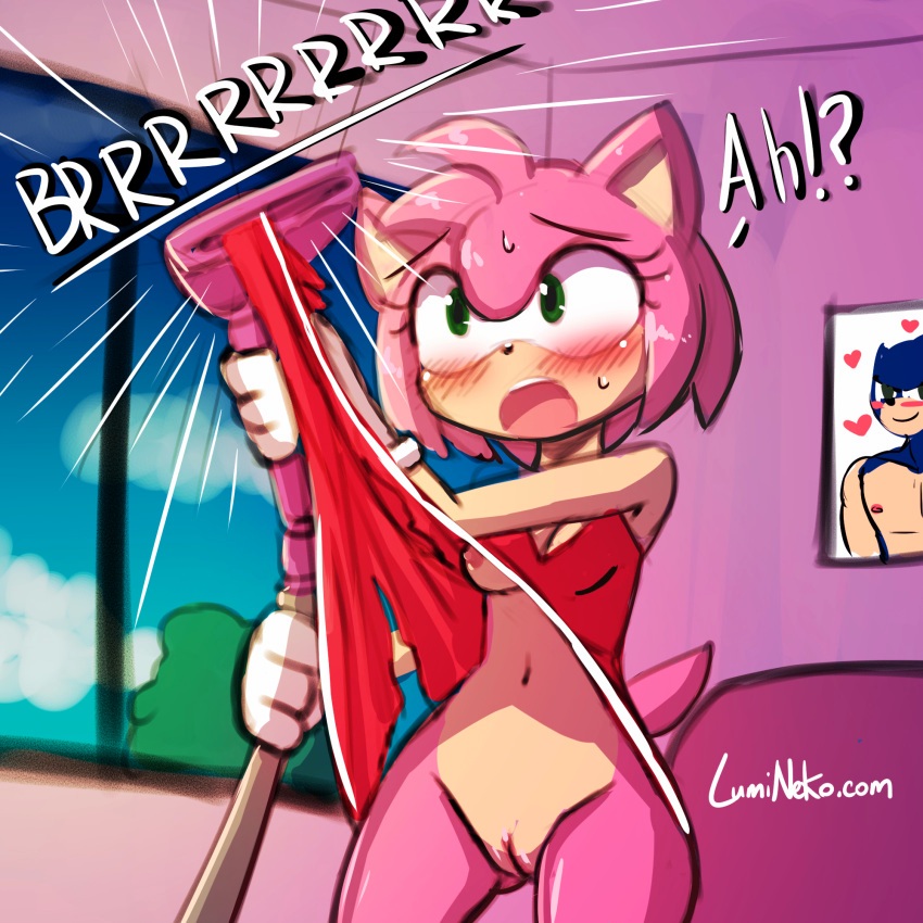 Amy Rose (Sonic (Series)) Rule 34 Image
