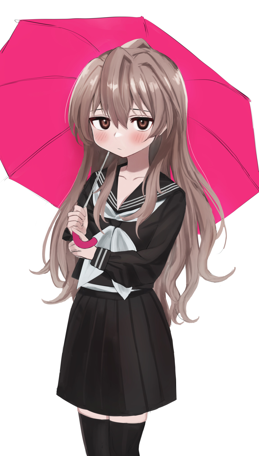 Aisaka Taiga (Toradora!) Rule 34 Image