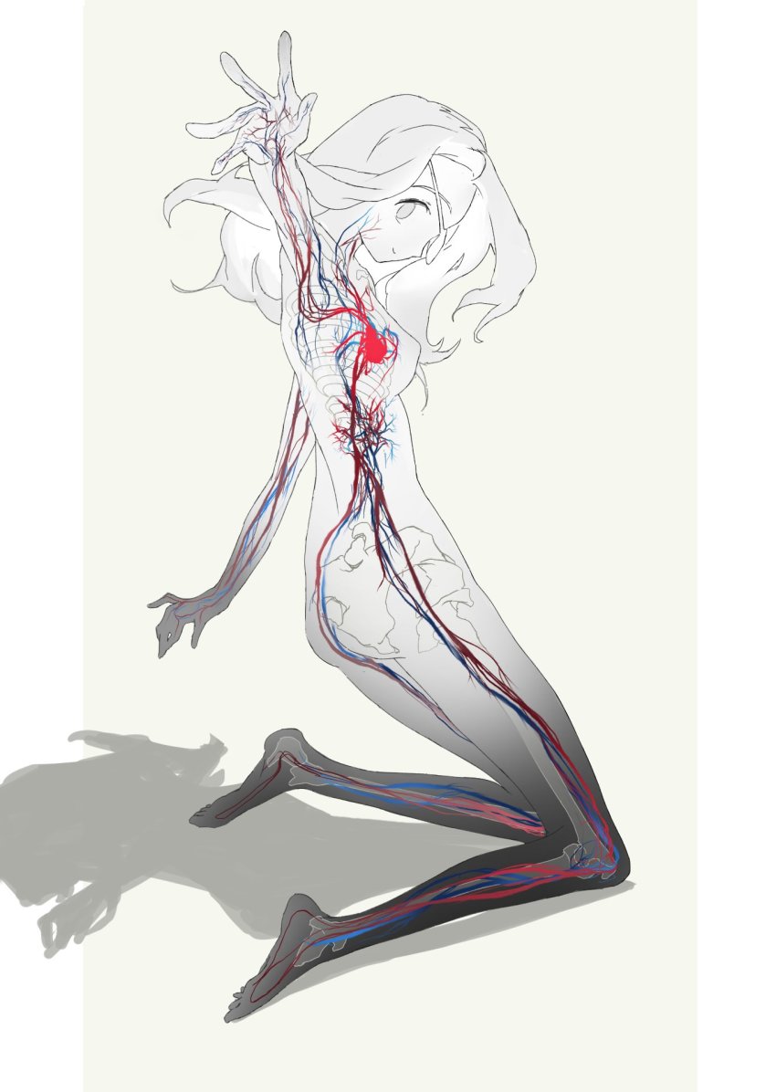 Blood Vessels Rule 34 Image