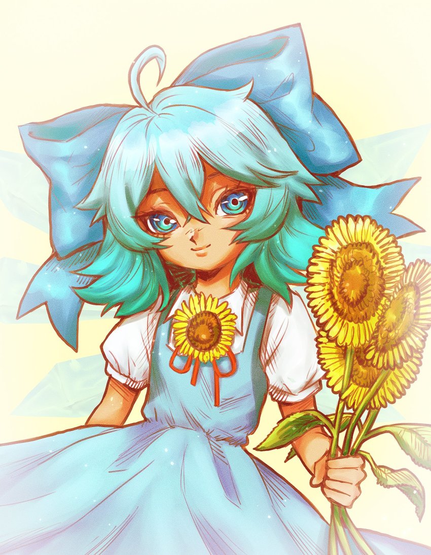 Cirno (Touhou) Rule 34 Image