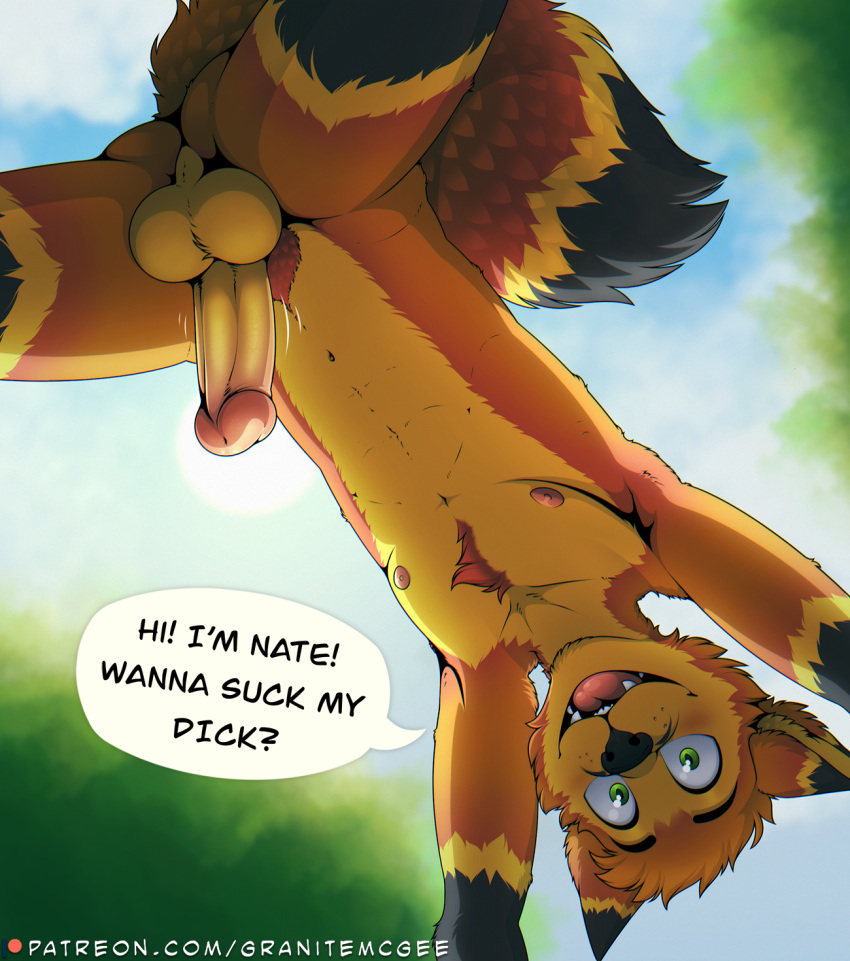 Anthro Rule 34 Image
