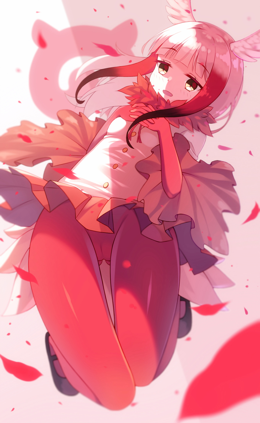 Japanese Crested Ibis (Kemono Friends) Rule 34 Image
