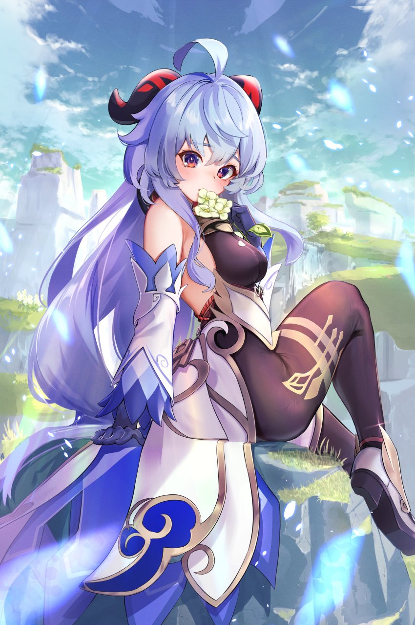Ganyu (Genshin Impact) Rule 34 Image