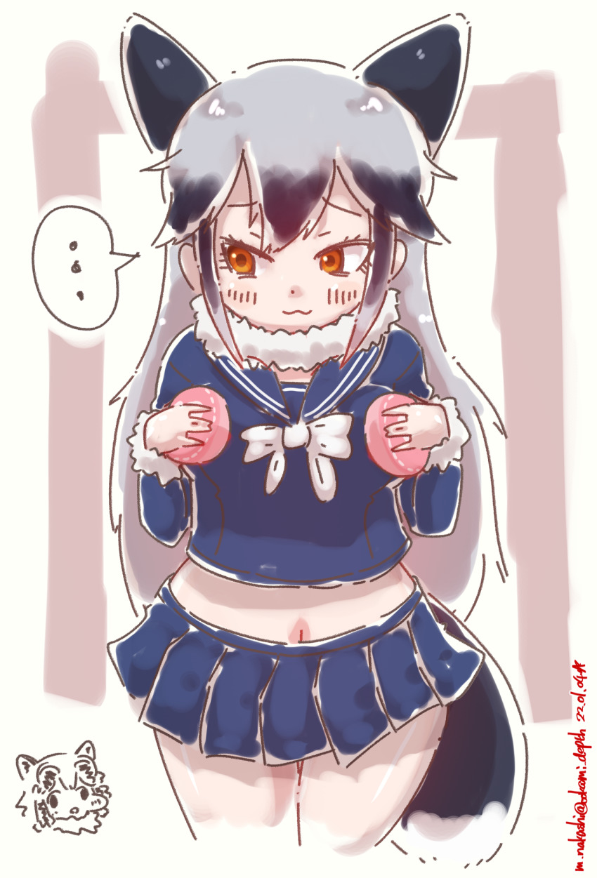 Silver Fox (Kemono Friends) Rule 34 Image
