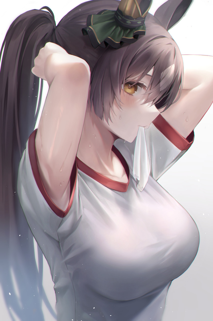 Satono Diamond (Umamusume) Rule 34 Image