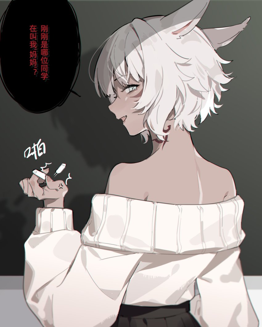 Miqo'Te (Final Fantasy) Rule 34 Image