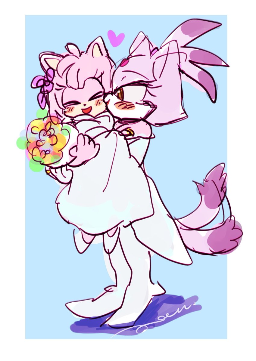 Amy Rose (Sonic (Series)) Rule 34 Image