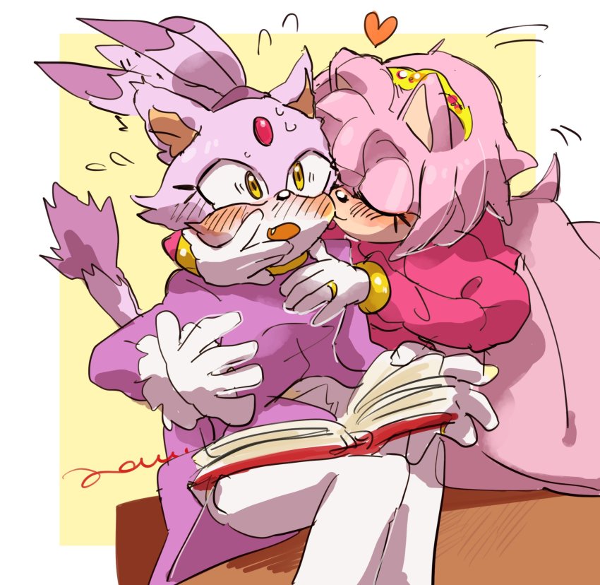 Amy Rose (Sonic (Series)) Rule 34 Image