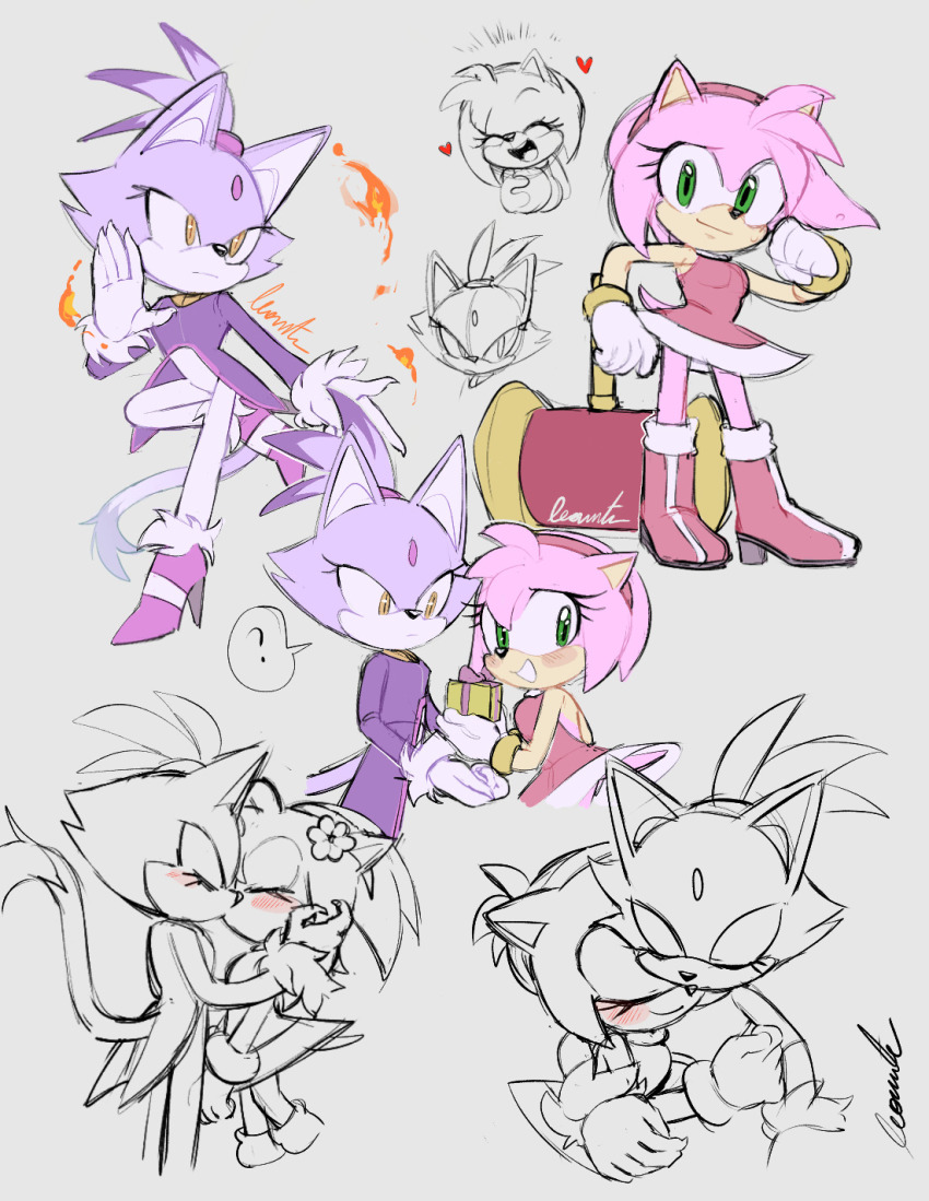 Amy Rose (Sega) Rule 34 Image