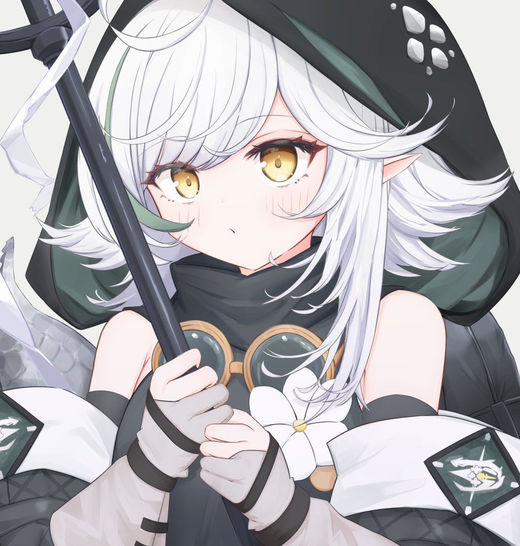 Tomimi (Arknights) Rule 34 Image