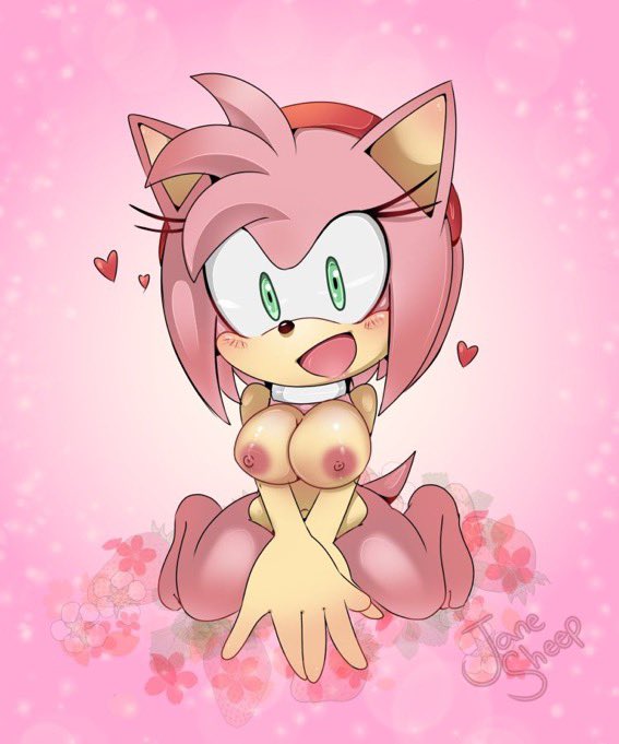 Amy Rose (Sonic (Series)) Rule 34 Image