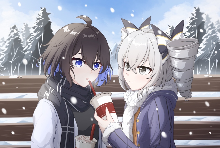 Bronya Zaychik (Honkai (Series)) Rule 34 Image