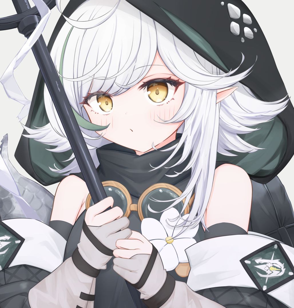 Tomimi (Arknights) Rule 34 Image