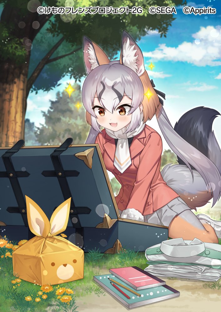 Island Fox (Kemono Friends) Rule 34 Image