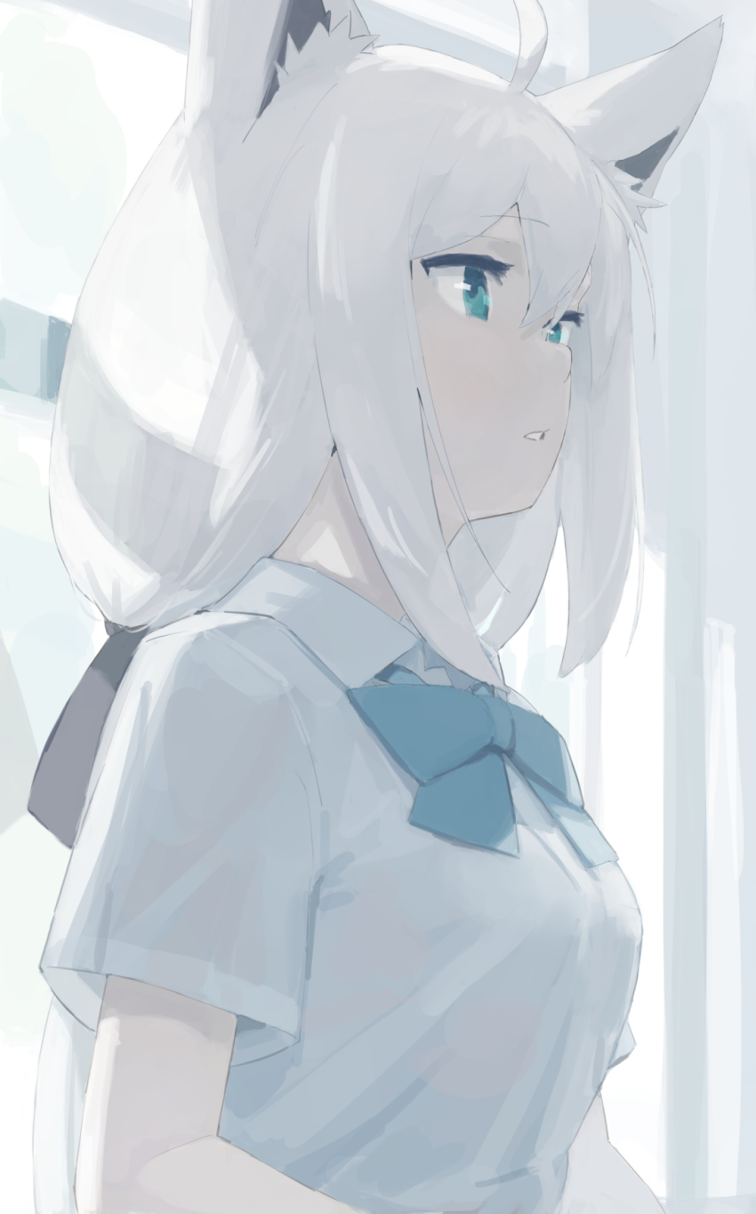 Shirakami Fubuki (Hololive) Rule 34 Image