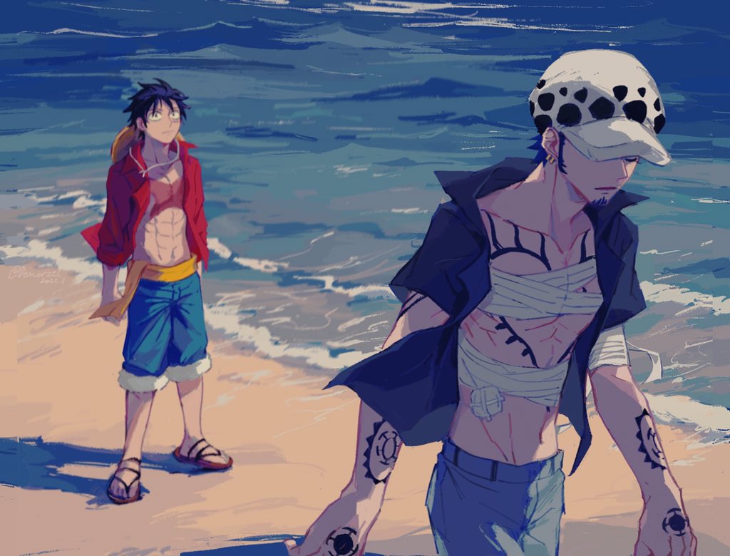 Trafalgar Law (Monkey D. Luffy) Rule 34 Image