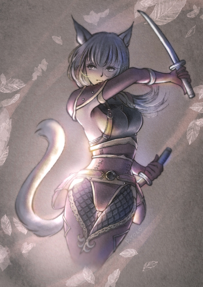 Adventurer (Ff11) Rule 34 Image