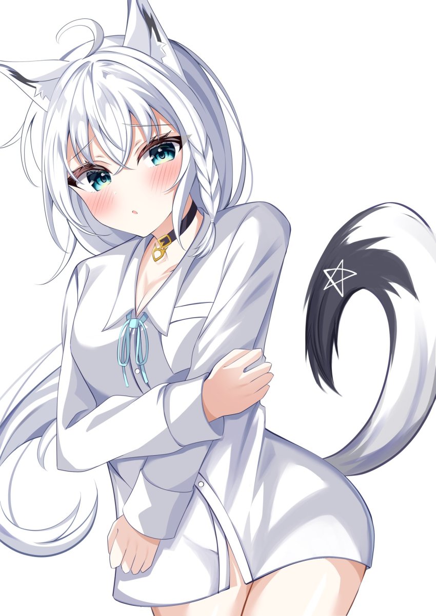 Shirakami Fubuki (Hololive) Rule 34 Image