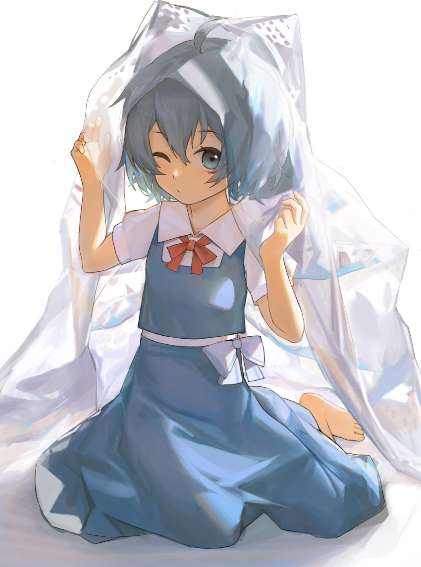 Cirno (Touhou) Rule 34 Image