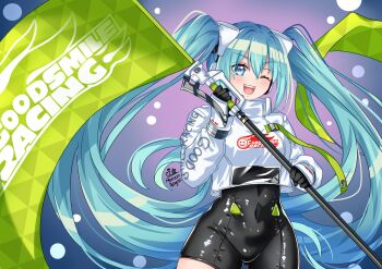 Racing Miku (2022) Rule 34 Image