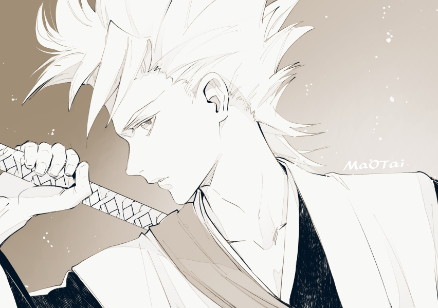 Hitsugaya Toushirou (Bleach) Rule 34 Image