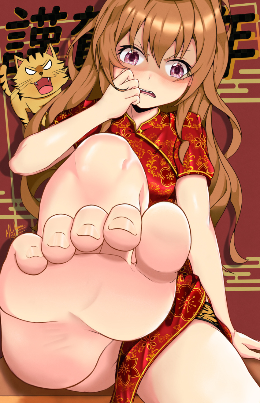 Aisaka Taiga (Toradora!) Rule 34 Image