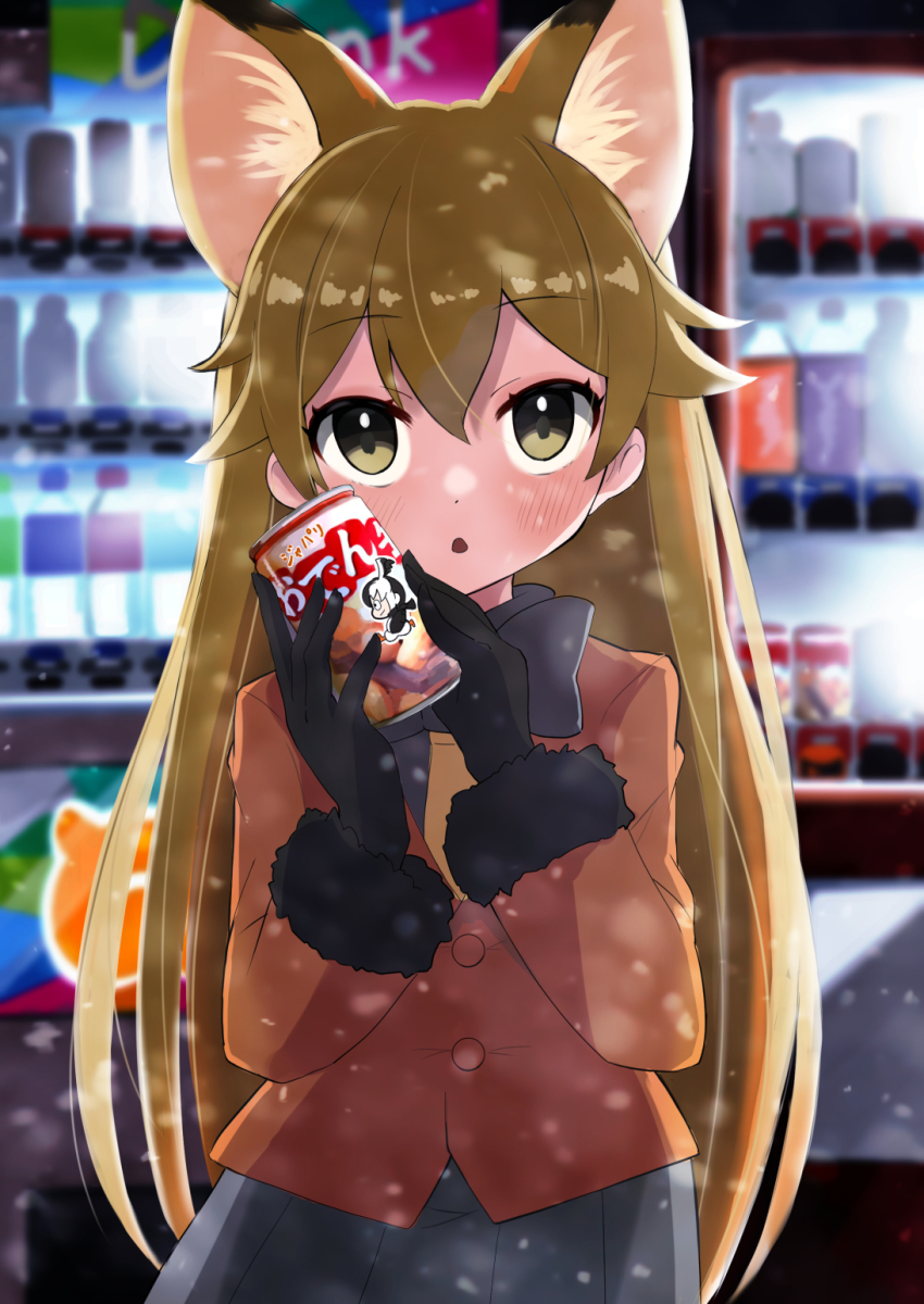 Ezo Red Fox (Kemono Friends) Rule 34 Image