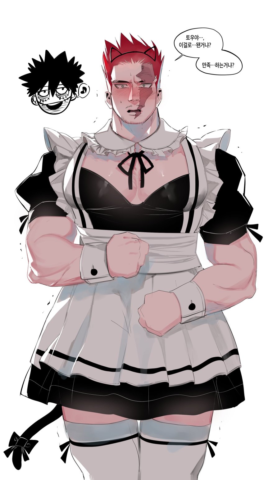 Endeavor (Boku No Hero Academia) Rule 34 Image