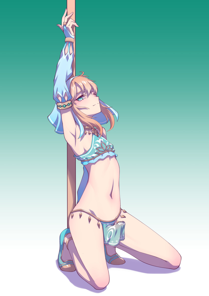 Link (Nintendo) Rule 34 Image
