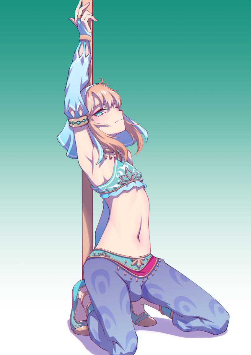 Link (Nintendo) Rule 34 Image