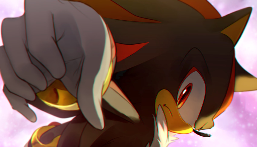 Shadow The Hedgehog (Sonic (Series)) Rule 34 Image