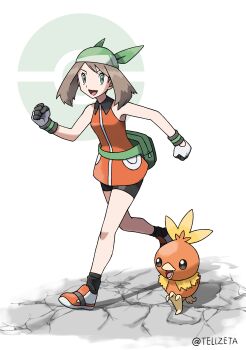 May (Pokemon) Rule 34 Image
