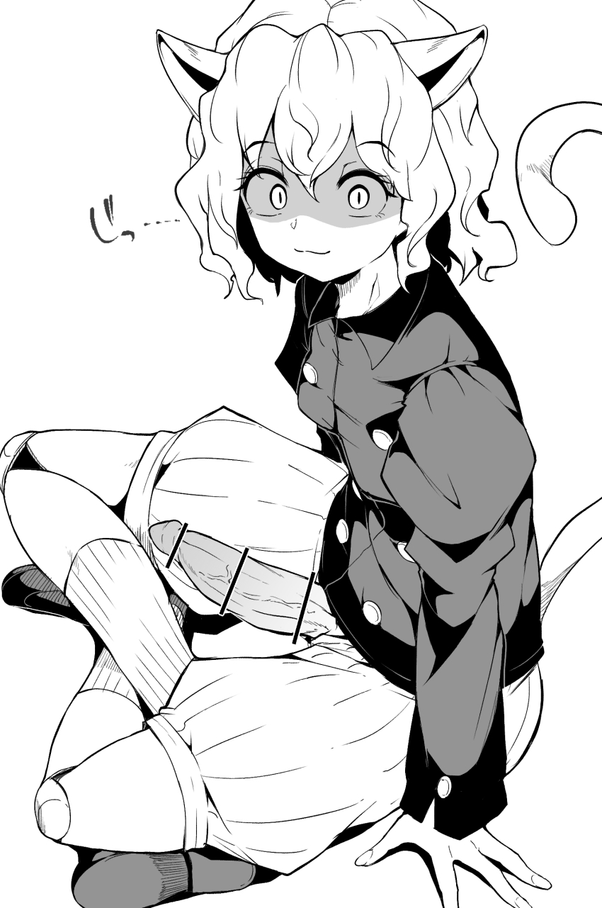 Neferpitou (Hunter X Hunter) Rule 34 Image