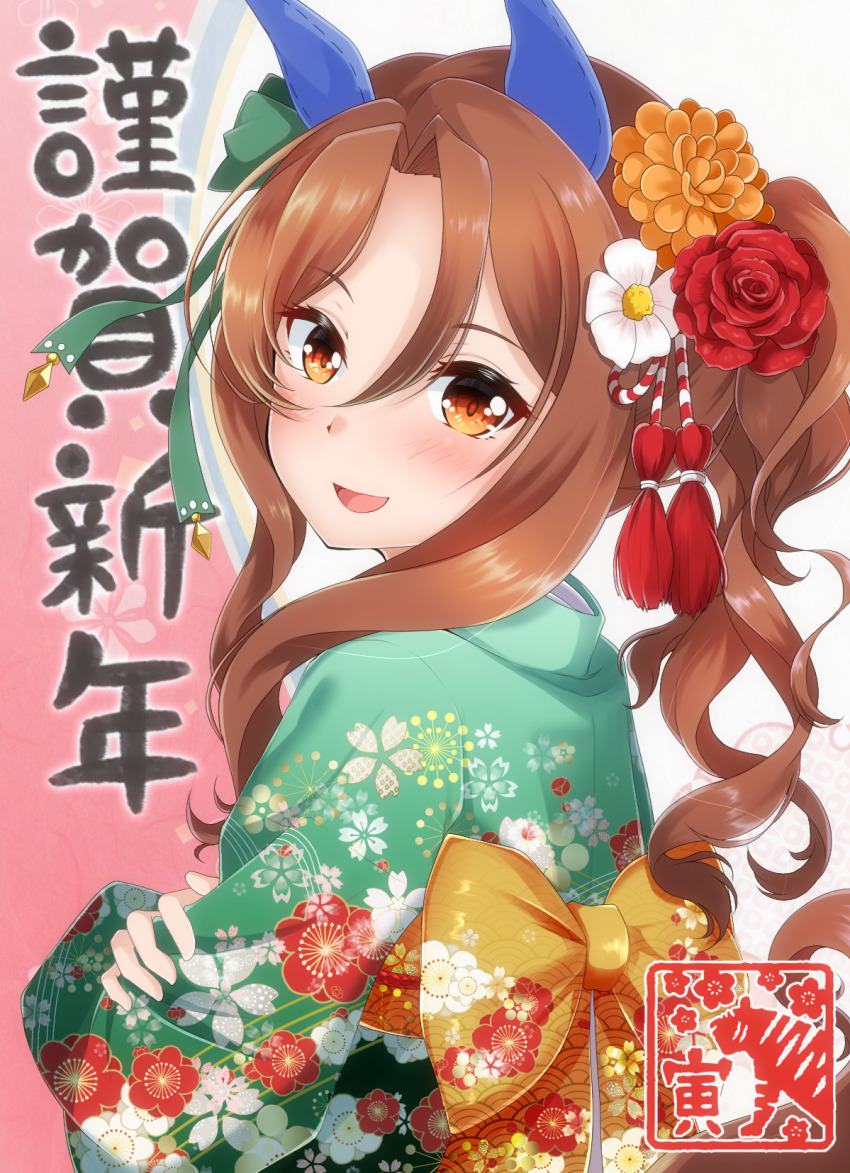 King Halo (Umamusume) Rule 34 Image