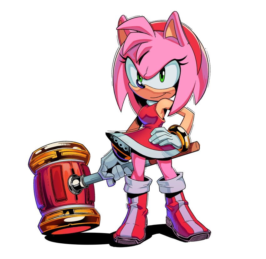 Amy Rose (Sonic (Series)) Rule 34 Image