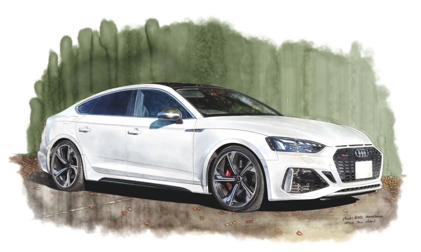 Audi Rule 34 Image