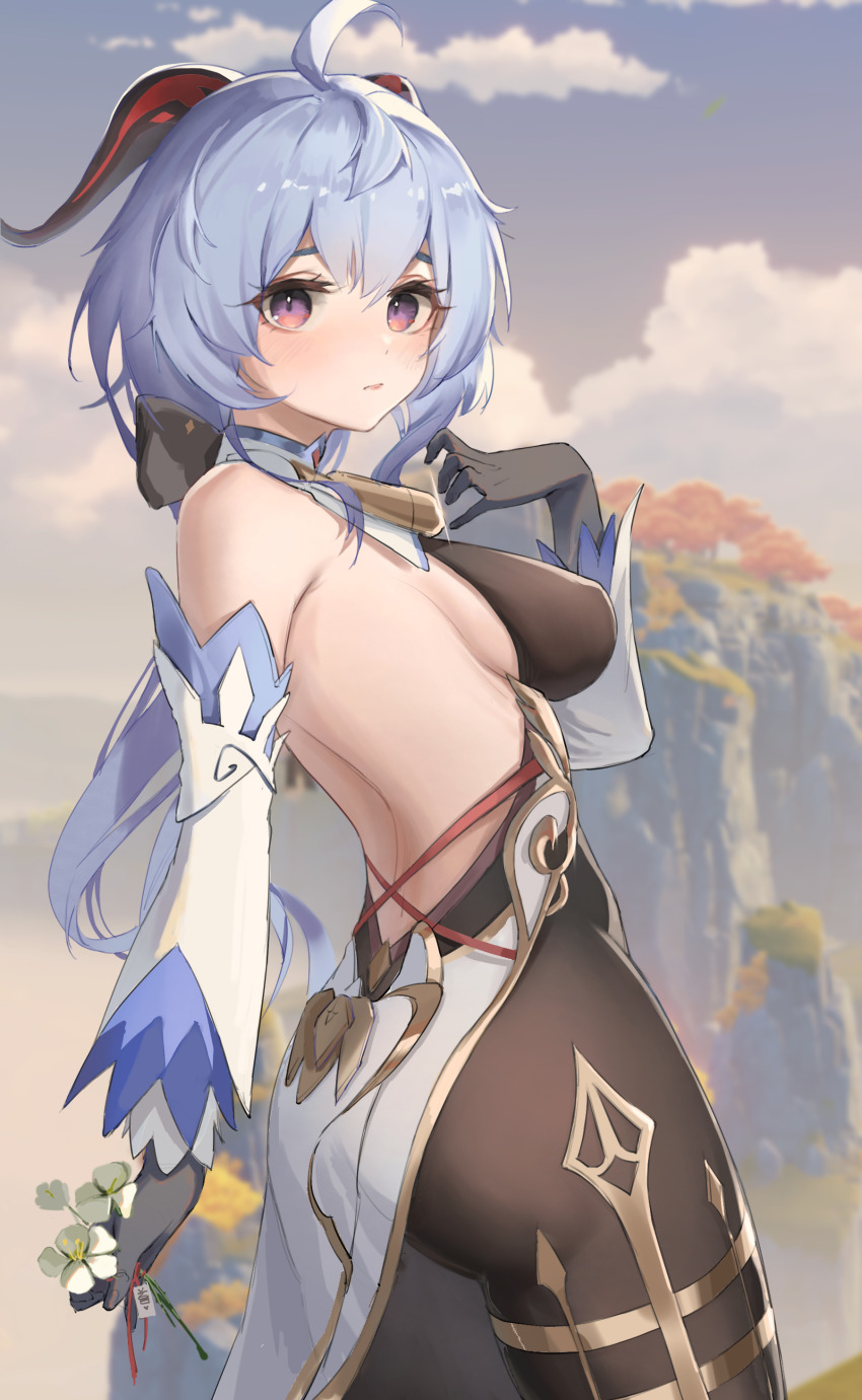 Ganyu (Genshin Impact) Rule 34 Image