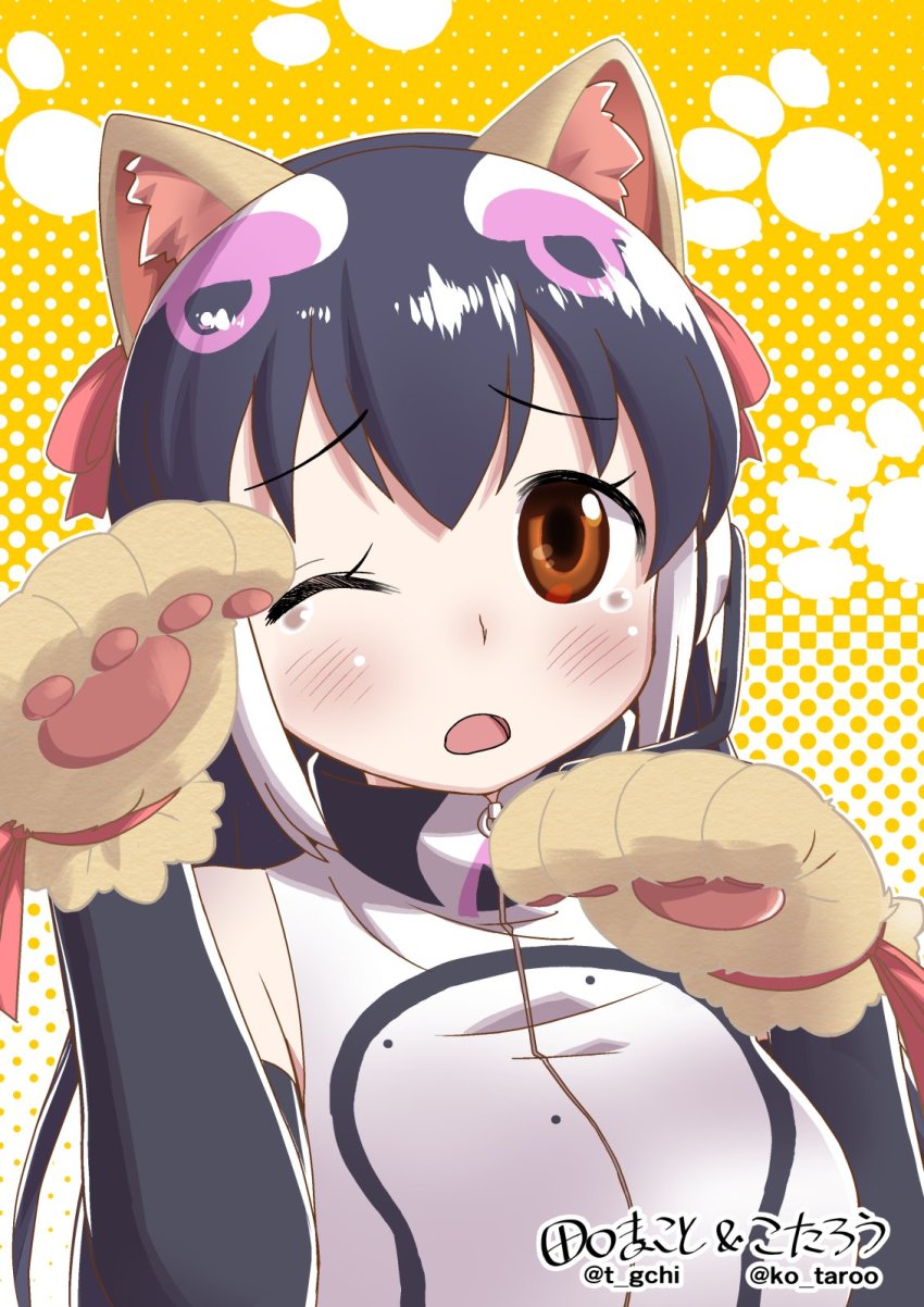 African Penguin (Kemono Friends) Rule 34 Image