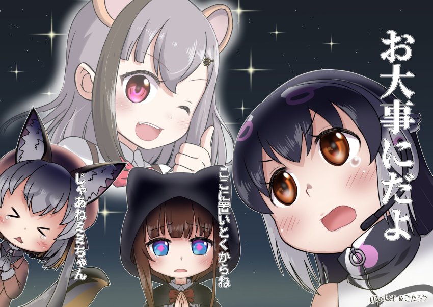 Island Fox (Kemono Friends) Rule 34 Image