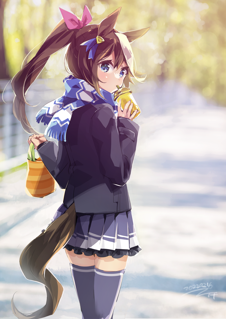 Tokai Teio (Umamusume) Rule 34 Image