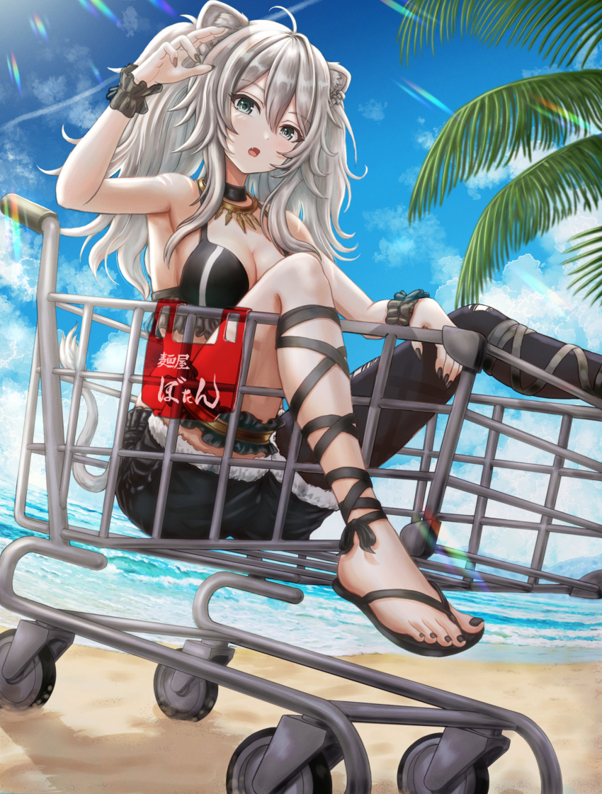 Shishiro Botan (Hololive) Rule 34 Image