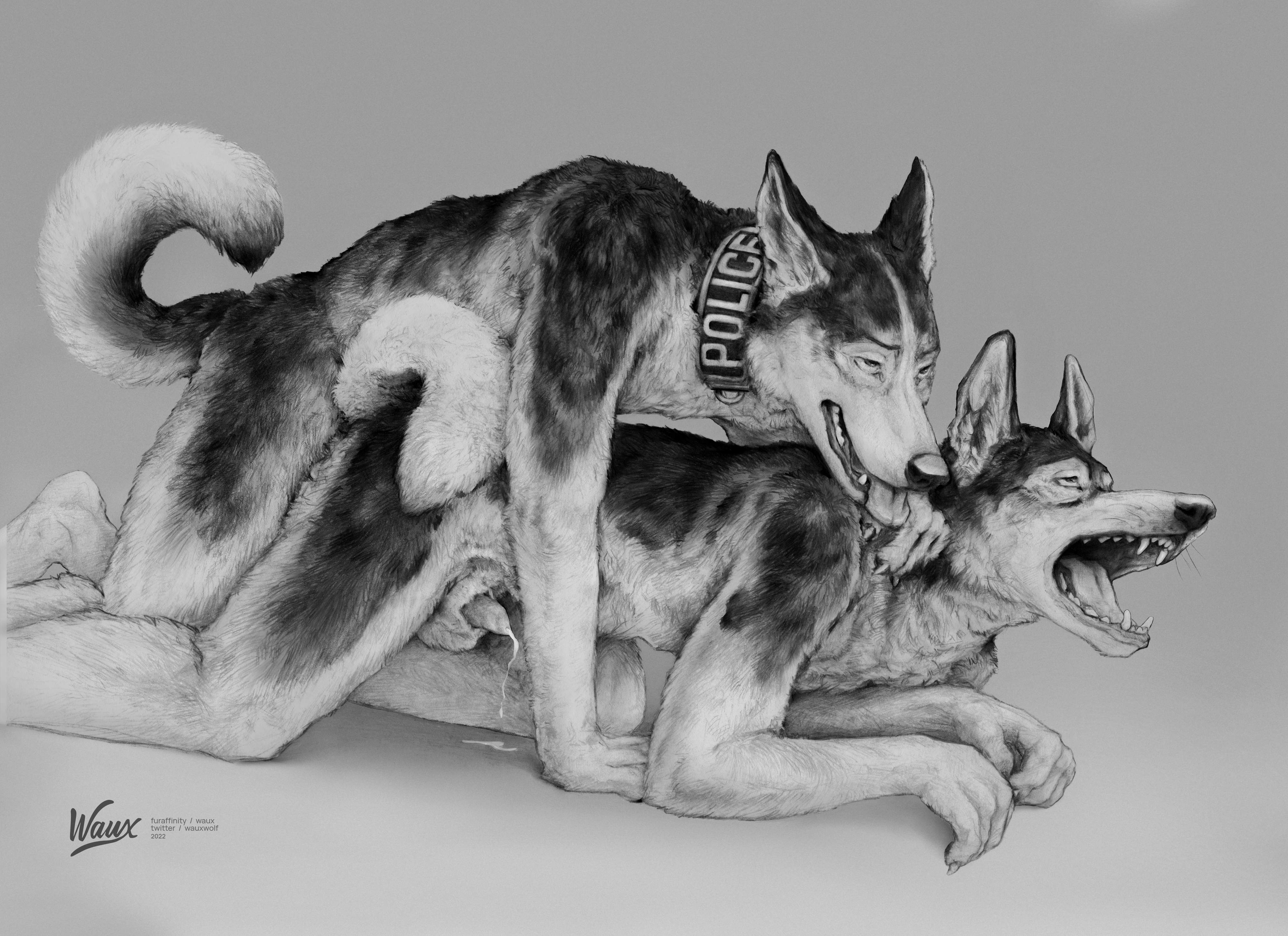 Digital Media (Artwork) Rule 34 Image
