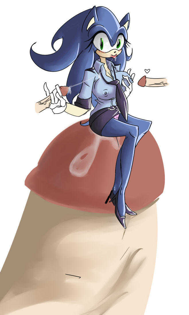 Sonic The Hedgehog (Sonic (Series)) Rule 34 Image