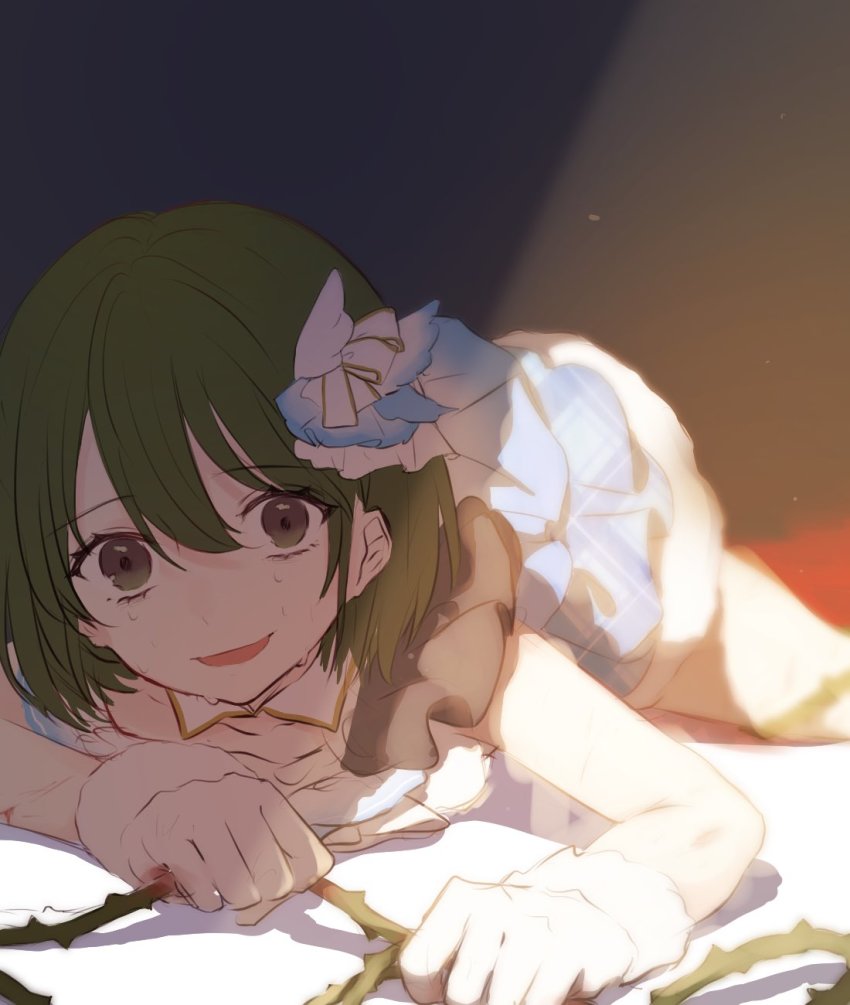 Nanakusa Nichika (Idolmaster) Rule 34 Image
