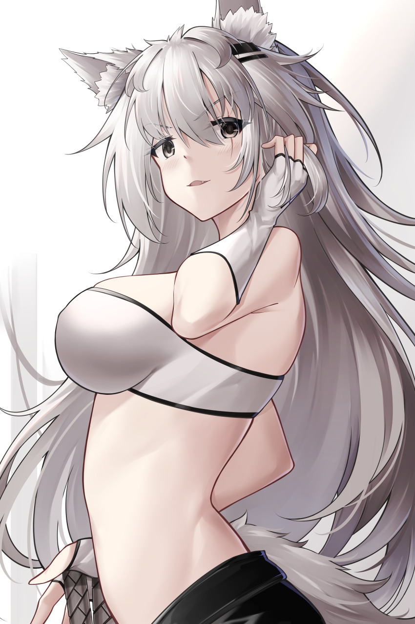 Lappland (Arknights) Rule 34 Image